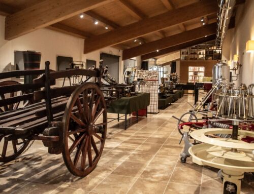 Nasce il  Museo delle Macchine del Vino