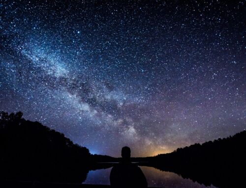 STELLE IN CITTÀ
