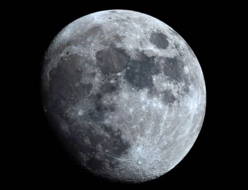 STELLE IN CITTÀ